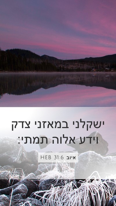 איוב 31:6 HEB Bible Verse Image