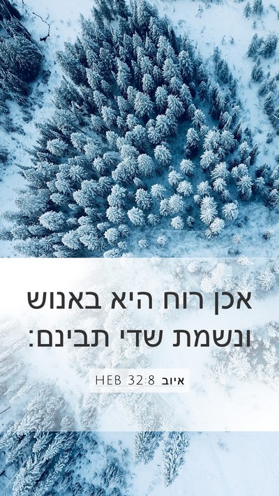 איוב 32:8 HEB Bible Verse Image