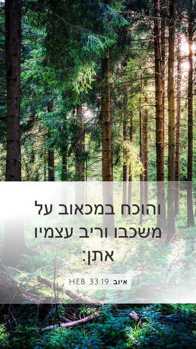 איוב 33:19 HEB Bible Verse Image