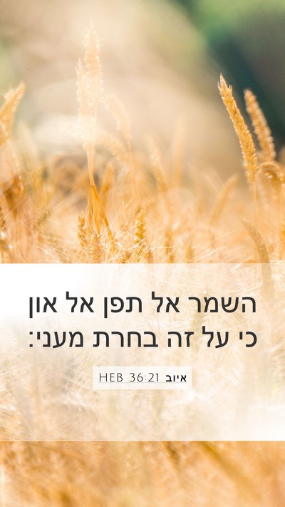 איוב 36:21 HEB Bible Verse Image