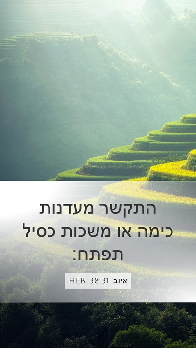 איוב 38:31 HEB Mobile Phone Wallpaper - התקשר מעדנות כימה או משכות - Mobile Bible Verse Wallpaper