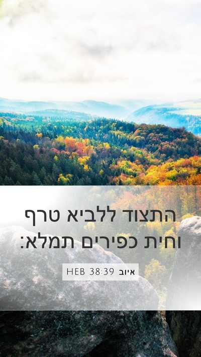 איוב 38:39 HEB Bible Verse Image