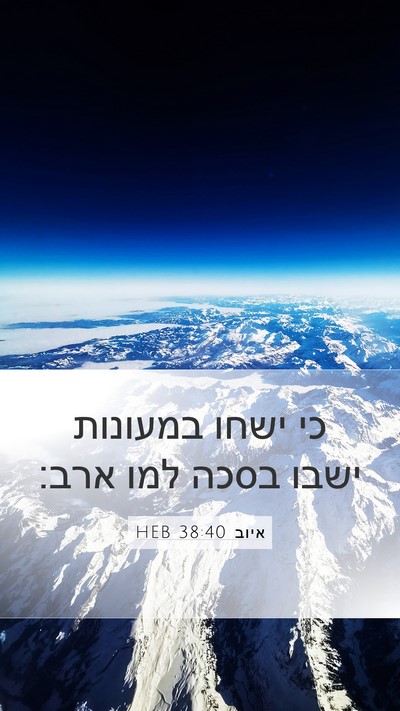 איוב 38:40 HEB Mobile Phone Wallpaper - כי ישחו במעונות ישבו בסכה - Mobile Bible Verse Wallpaper