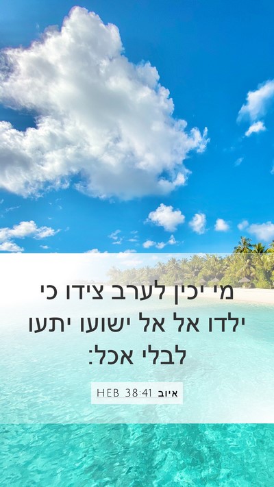 איוב 38:41 HEB Bible Verse Image