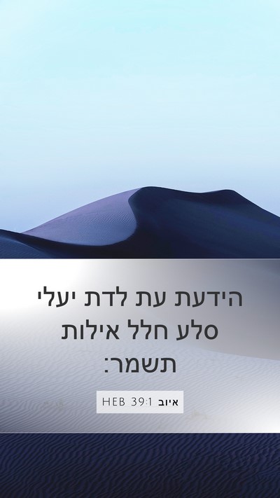 איוב 39:1 HEB Bible Verse Image