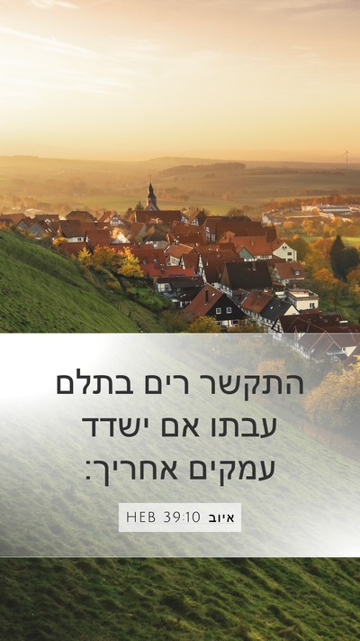 איוב 39:10 HEB Mobile Phone Wallpaper - התקשר רים בתלם עבתו אם ישדד - Mobile Bible Verse Wallpaper