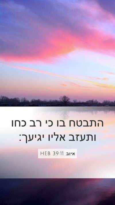 איוב 39:11 HEB Mobile Phone Wallpaper - התבטח בו כי רב כחו ותעזב - Mobile Bible Verse Wallpaper