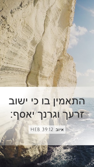 איוב 39:12 HEB Mobile Phone Wallpaper - התאמין בו כי ישוב זרעך - Mobile Bible Verse Wallpaper