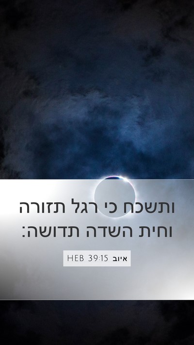 איוב 39:15 HEB Mobile Phone Wallpaper - ותשכח כי רגל תזורה וחית - Mobile Bible Verse Wallpaper