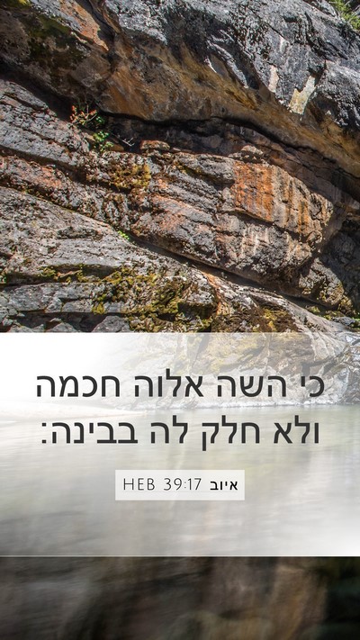 איוב 39:17 HEB Bible Verse Image
