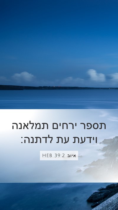 איוב 39:2 HEB Mobile Phone Wallpaper - תספר ירחים תמלאנה וידעת עת - Mobile Bible Verse Wallpaper