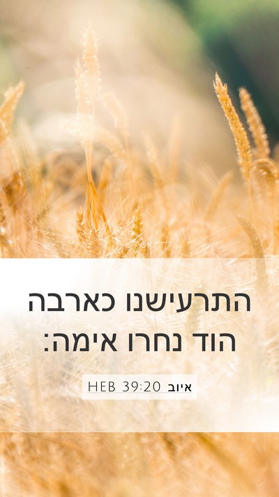 איוב 39:20 HEB Mobile Phone Wallpaper - התרעישנו כארבה הוד נחרו - Mobile Bible Verse Wallpaper