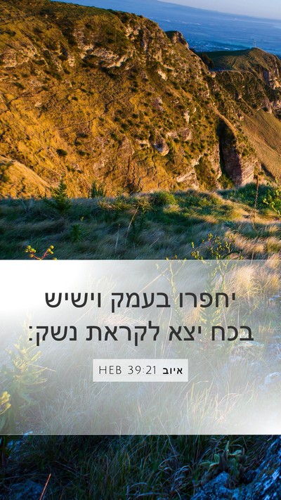 איוב 39:21 HEB Bible Verse Image
