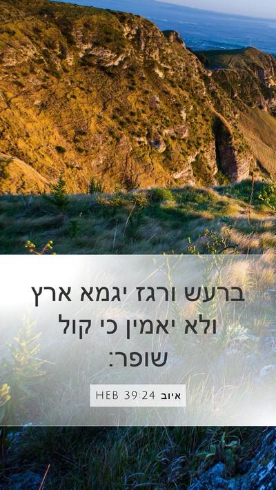 איוב 39:24 HEB Bible Verse Image
