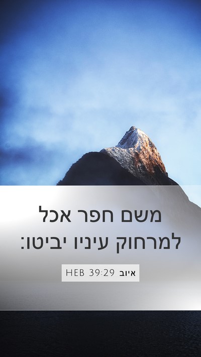 איוב 39:29 HEB Bible Verse Image