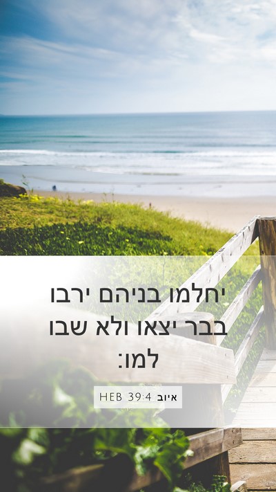 איוב 39:4 HEB Bible Verse Image
