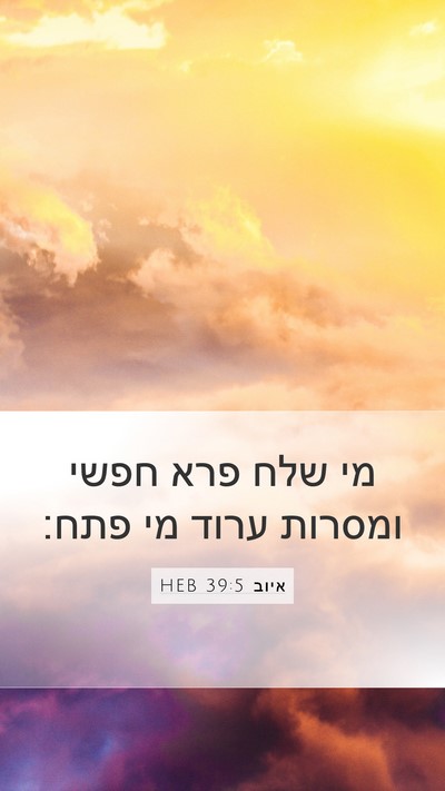 איוב 39:5 HEB Bible Verse Image