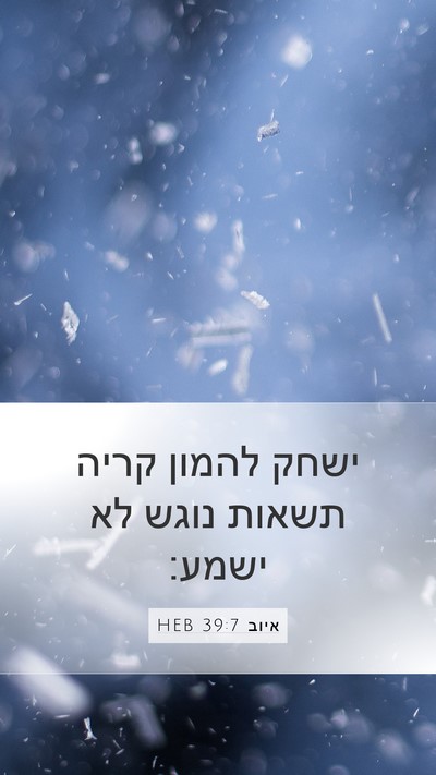 איוב 39:7 HEB Bible Verse Image