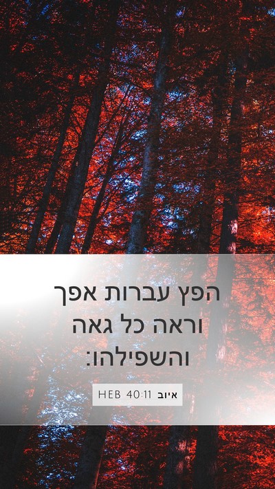 איוב 40:11 HEB Bible Verse Image