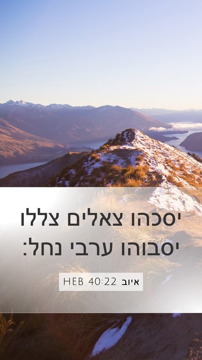 איוב 40:22 HEB Bible Verse Image