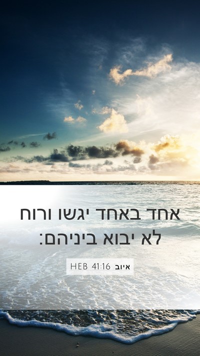 איוב 41:16 HEB Mobile Phone Wallpaper - אחד באחד יגשו ורוח לא יבוא - Mobile Bible Verse Wallpaper