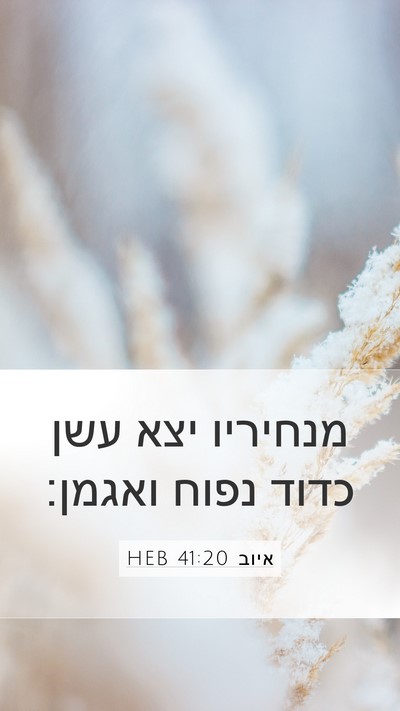 איוב 41:20 HEB Bible Verse Image