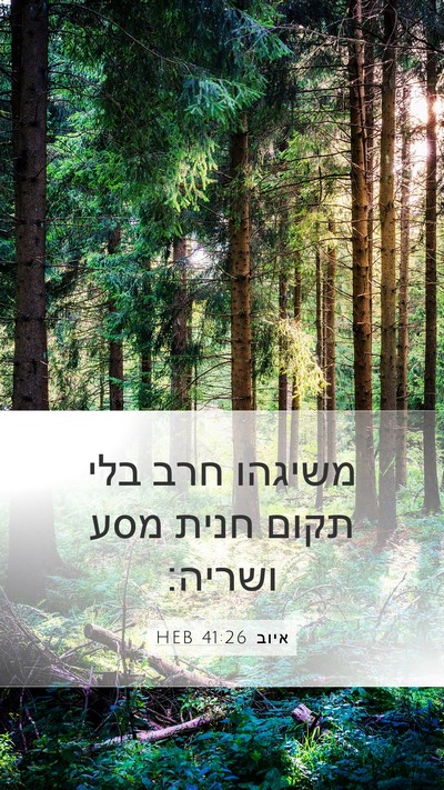 איוב 41:26 HEB Bible Verse Image