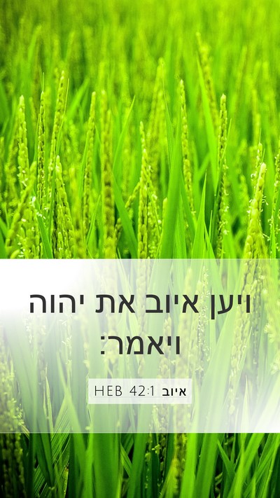 איוב 42:1 HEB Mobile Phone Wallpaper - ויען איוב את יהוה - Mobile Bible Verse Wallpaper