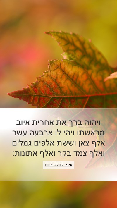 איוב 42:12 HEB Bible Verse Image