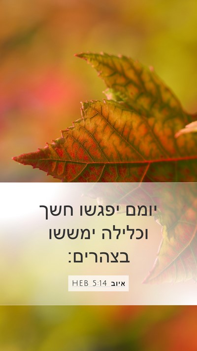 איוב 5:14 HEB Bible Verse Image