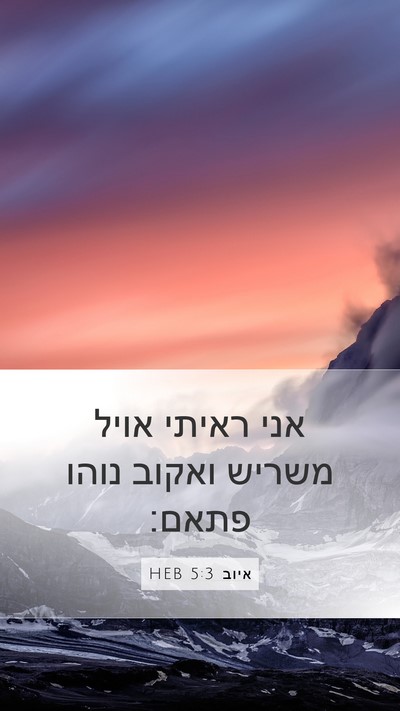 איוב 5:3 HEB Bible Verse Image