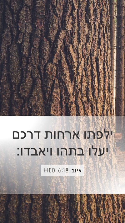 איוב 6:18 HEB Bible Verse Image