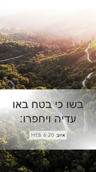 איוב 6:20 HEB Bible Verse Image