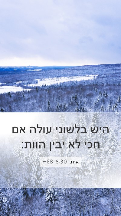 איוב 6:30 HEB Bible Verse Image