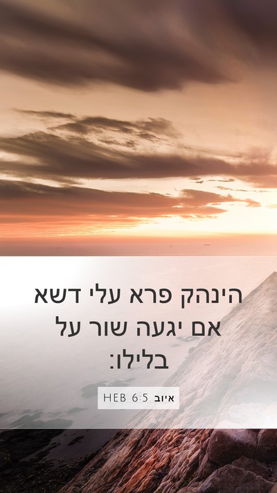 איוב 6:5 HEB Bible Verse Image