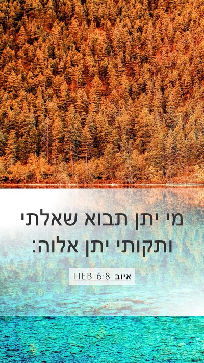 איוב 6:8 HEB Bible Verse Image