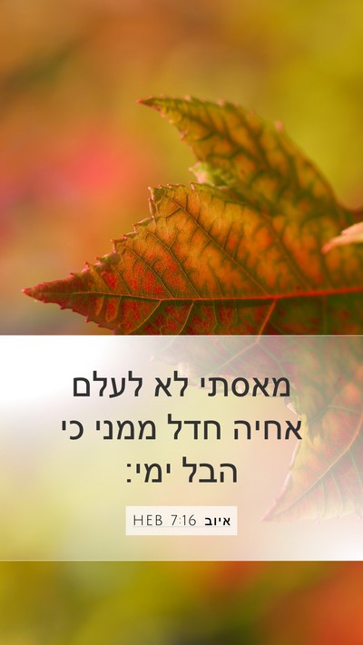 איוב 7:16 HEB Bible Verse Image