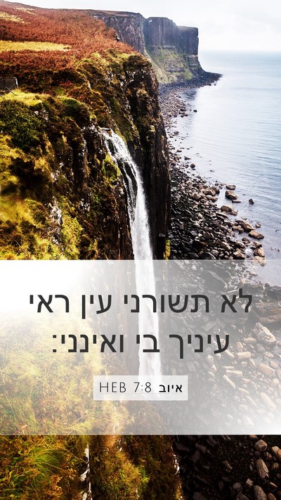 איוב 7:8 HEB Bible Verse Image