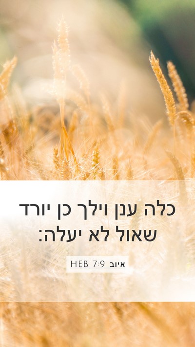 איוב 7:9 HEB Bible Verse Image