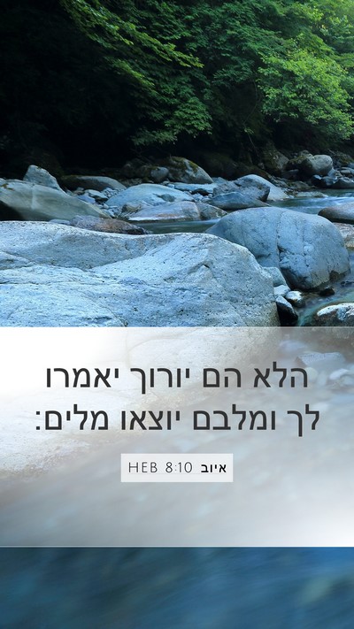 איוב 8:10 HEB Mobile Phone Wallpaper - הלא הם יורוך יאמרו לך ומלבם - Mobile Bible Verse Wallpaper