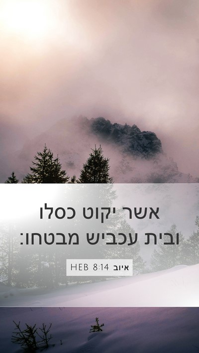 איוב 8:14 HEB Bible Verse Image