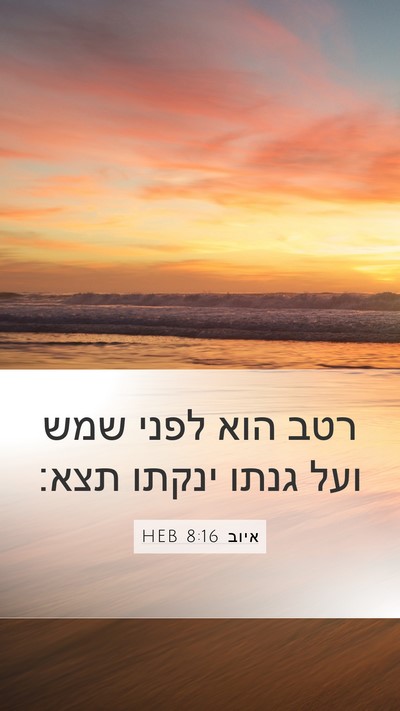 איוב 8:16 HEB Bible Verse Image
