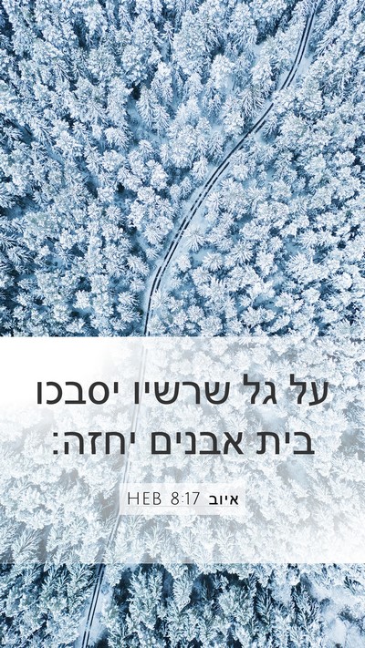 איוב 8:17 HEB Mobile Phone Wallpaper - על גל שרשיו יסבכו בית אבנים - Mobile Bible Verse Wallpaper