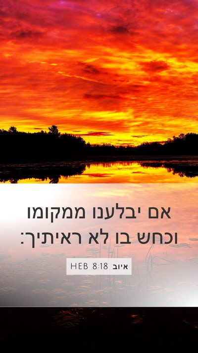 איוב 8:18 HEB Bible Verse Image