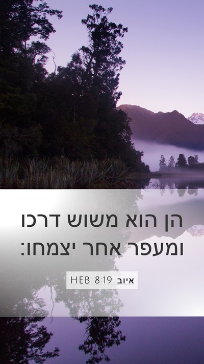 איוב 8:19 HEB Bible Verse Image