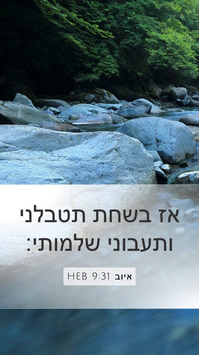 איוב 9:31 HEB Bible Verse Image
