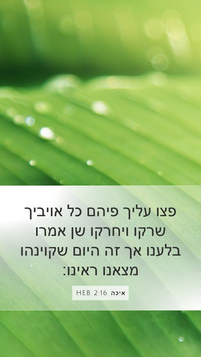 איכה 2:16 HEB Bible Verse Image