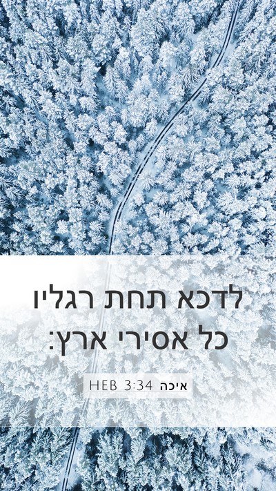 איכה 3:34 HEB Bible Verse Image