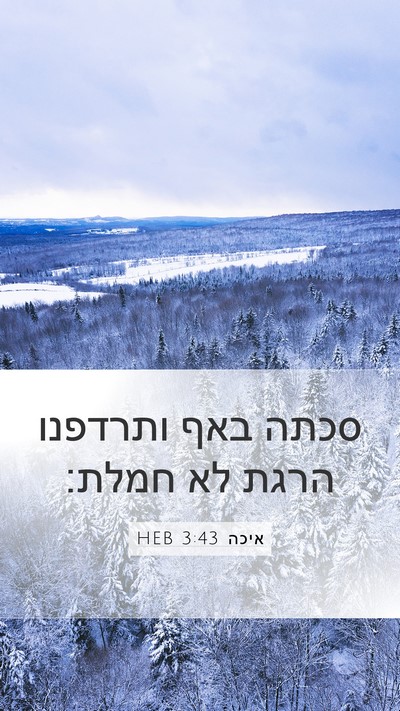 איכה 3:43 HEB Bible Verse Image