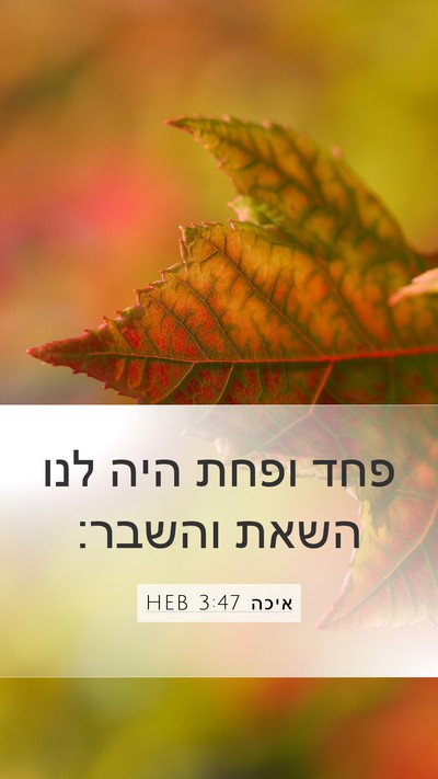 איכה 3:47 HEB Bible Verse Image